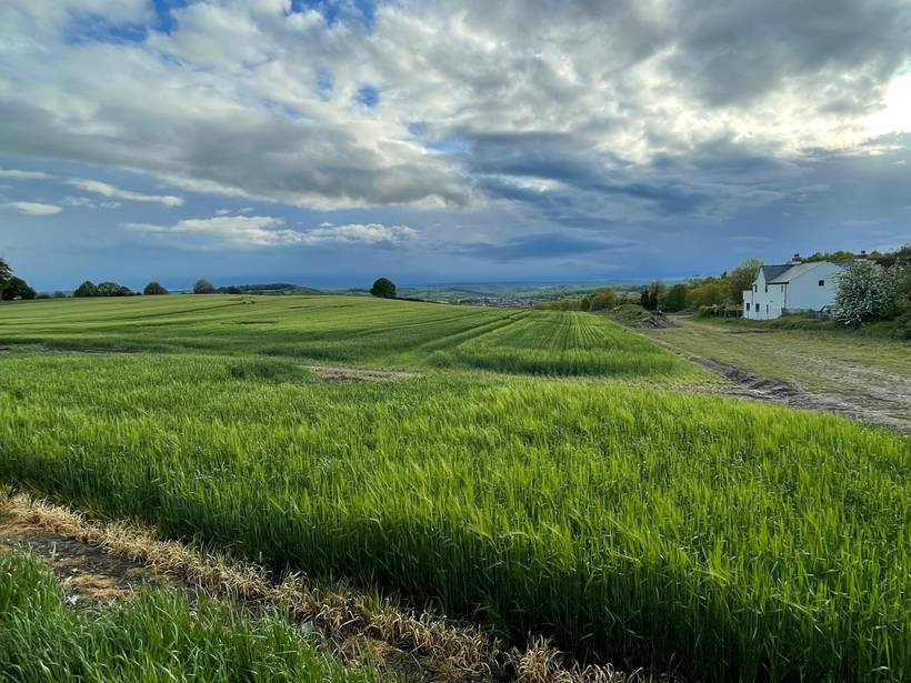 Green Belt farmland under a wide cloudy sky, with the last houses of Kingstone at the far edge of the field.